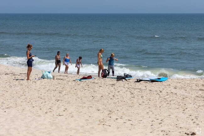 Spend some time on the beach at Assateague State Park near Berlin.