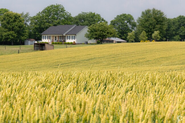 The average farm in Little Rock-Plum is 202 acres.