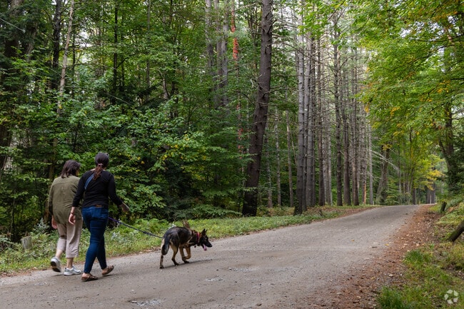 Take a relaxing walk through Moody Park near the West Side.