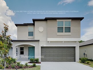 13345 Willow Bluestar Lp, Riverview, FL 33579