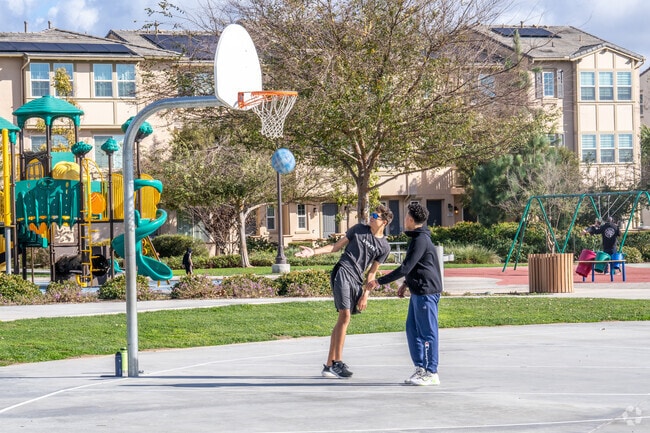 You can play hoops at one of the many basketball courts around the Camarillo area.