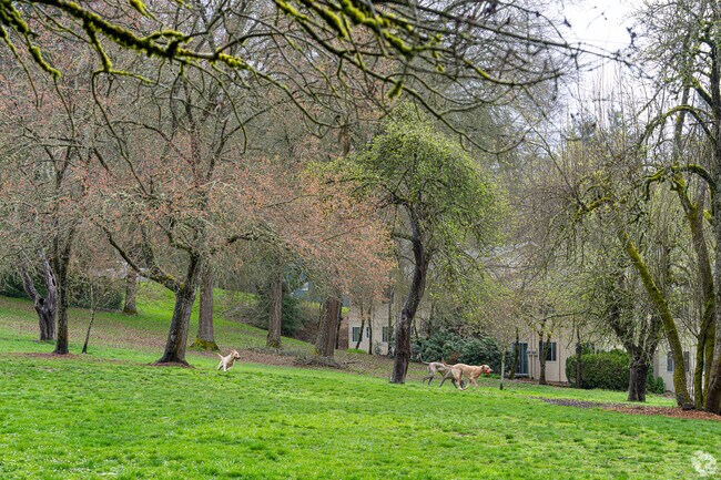 Residents can enjoy the designated off-leash dog park at Hillsdale City Park.