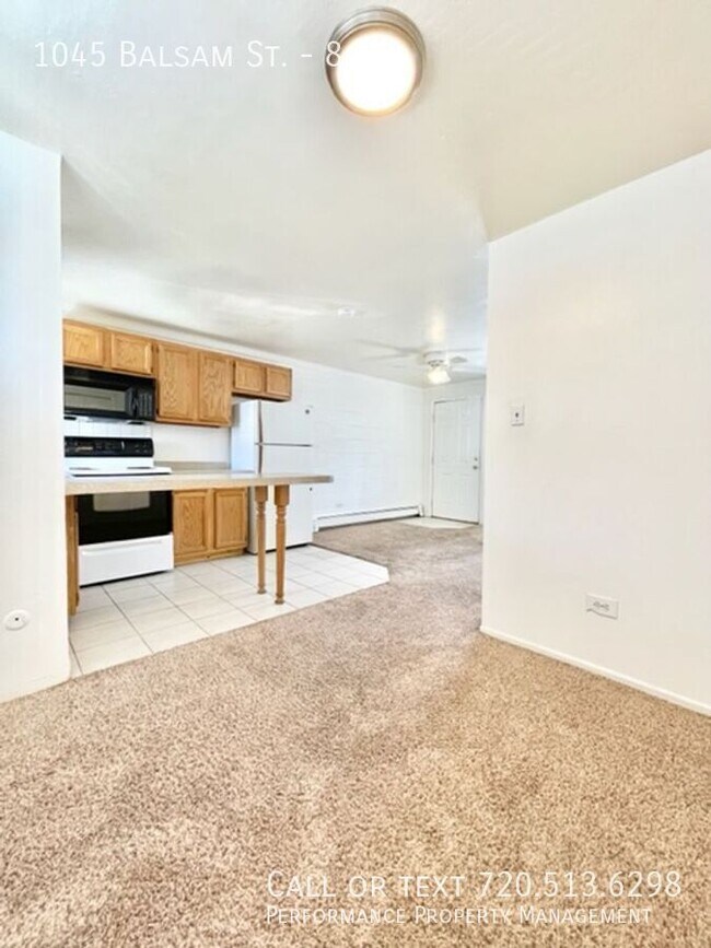 1045 Balsam St unit 8, Lakewood, CO 80214 - photo 4