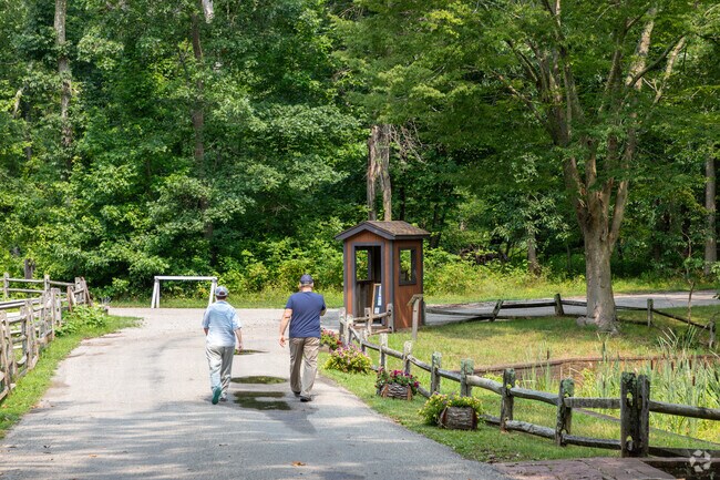 Allaire State Park is a great place to go for a stroll in Wall Township.