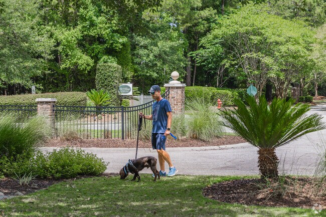 Masonborough Park in Mount Pleasant is a great spot to enjoy a walk with your dog.