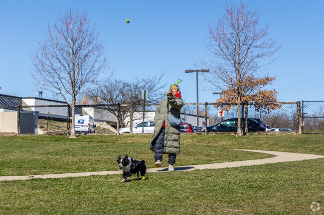 South Ridge pet owners can bring their dogs to Bo's Run in Hoffman Estates.