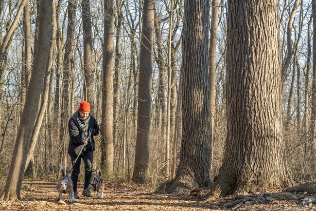 Kings Point Park in Kings Point features dog-friendly trails and tennis courts.