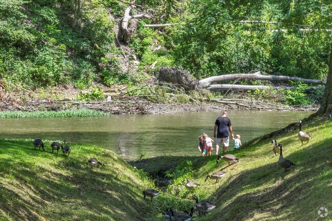 Calcutta residents enjoy Beaver Creek on a hot summer day.