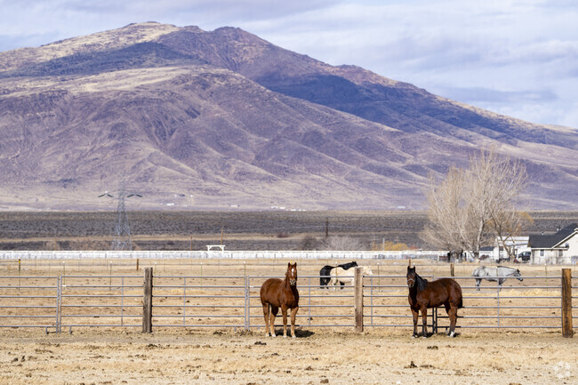 Large sections of Fernley are consumed by private farmland, with plenty of horses filling up the stables.
