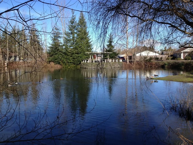 4436 Alderbury St, Eugene, OR 97402 - photo 6