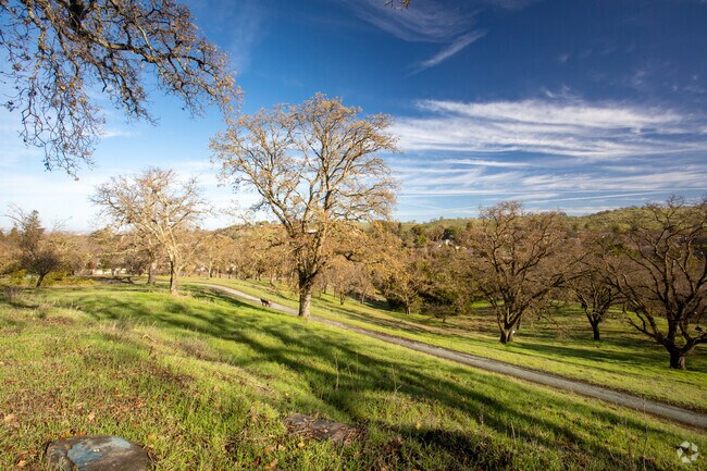 View of the beautiful landscapes at Lar Rieu Park.