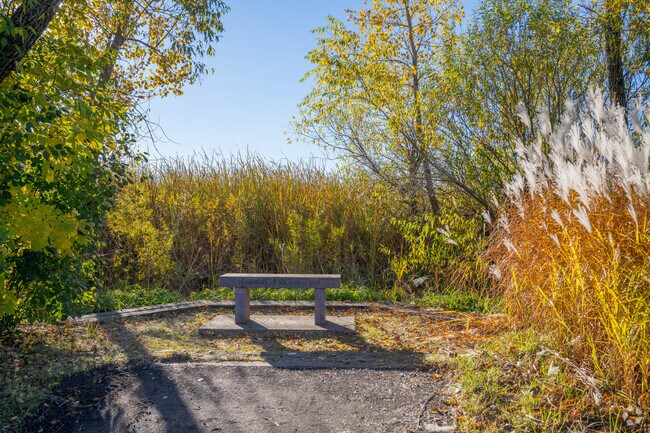 East Palmer Lake Park has benches in the meadow.