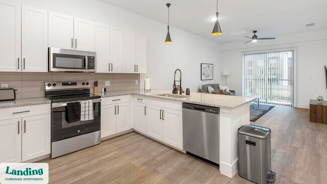 650 E Sycamore St unit 3204.1408284, Denton, TX 76201 - photo 4