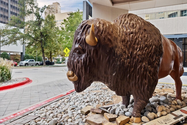 Buffalo statues add artistic flair throughout Oklahoma City’s Arts District.