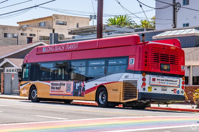 Public transportation is available in Bluff Heights.