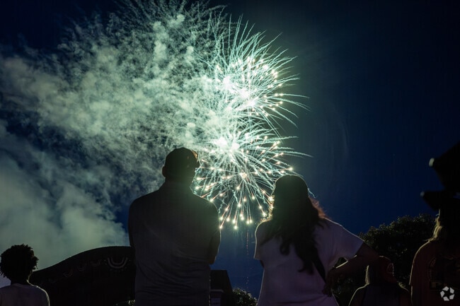 Local families enjoy the fireworks during the DeLand's Firecracker Festival.