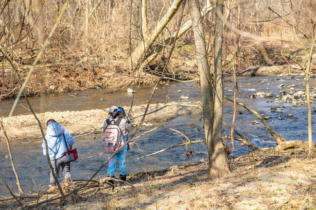 Fish the Darby Creek in Drexel Hill along the Darby Creek Trail.