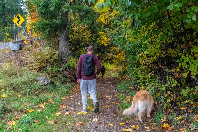 A short hike through Maple Creek Park leads to the waterfall that inspired the name of Maple Falls.