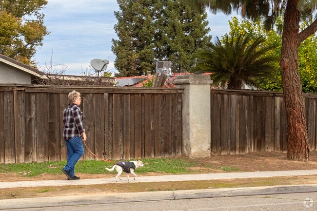 Take the dog for a walk along the quiet sidewalks of the Cecile neighborhood in Fresno.