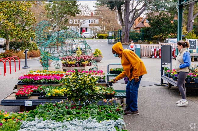Swansons Nursery in Olympic Manor provides everything needed for a perfect garden.