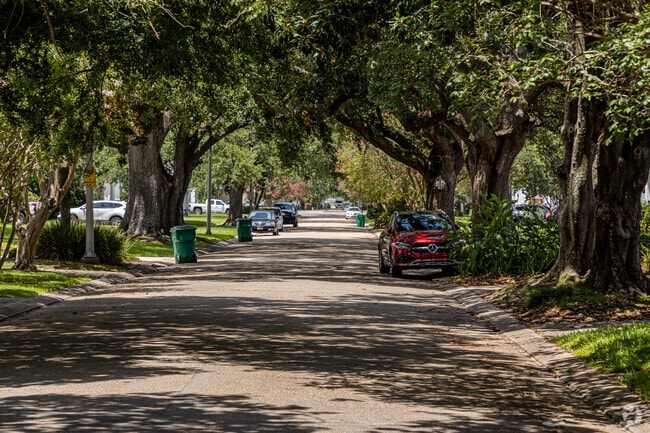 Shade trees are very common throughout Jefferson, LA.