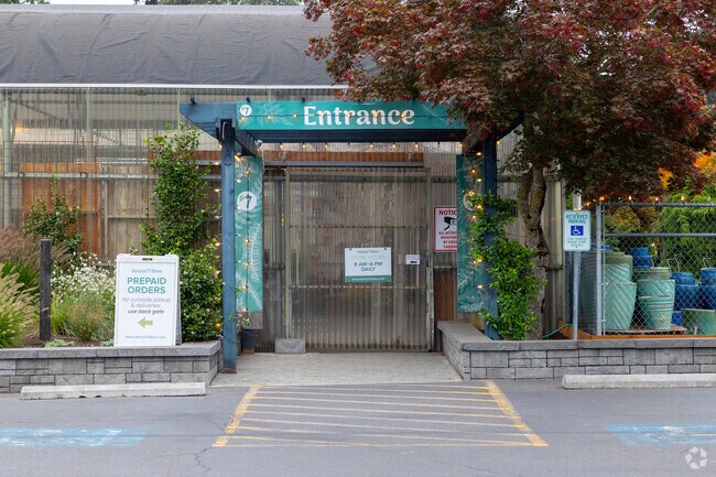 A red maple hangs over the entrance to Dennis' 7 Dees nursery on Mill Plain Blvd in Marrion.