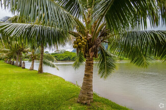 A coconut tree rests on the water's edge at Kahalu'u Christian School.