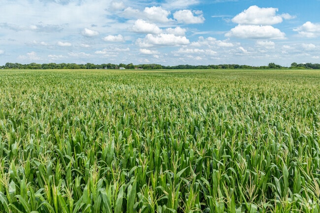 South Montgomery is known for its many acres of corn and soy.