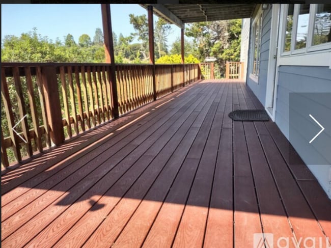 Your 500 plus square foot deck!
