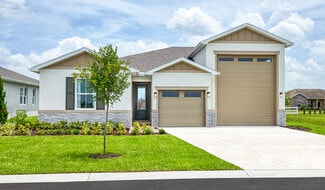 343 Alexandrite, DeLand, FL 32720