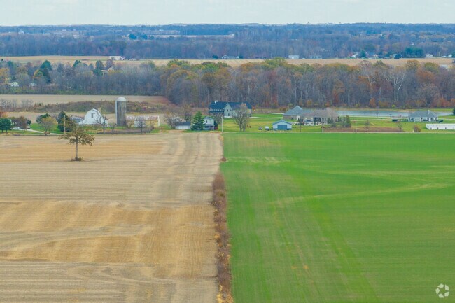 You'll soon find out that the grass is always greener in New Bethel.