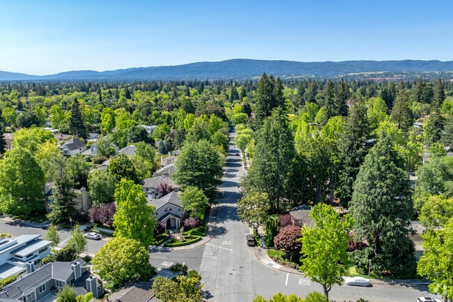 Wide-open streets are lined with grand home designs in the Crescent Park neighborhood.