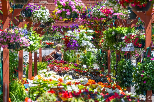 Liberty Area peaks with color each spring at Sunshine Grow Shop.