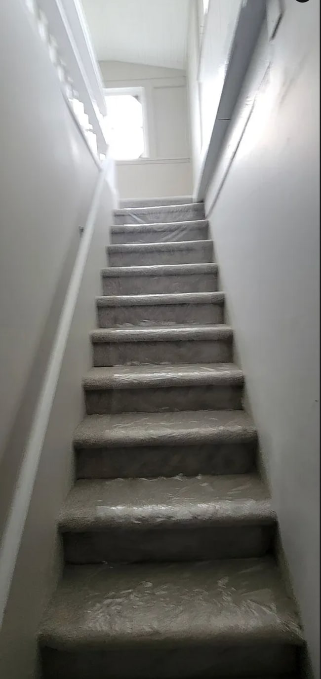 Newly recarpeted stairs leading to upstairs unit