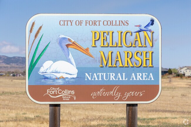 The Pelican Marsh Natural Area borders the Provincetowne neighborhood