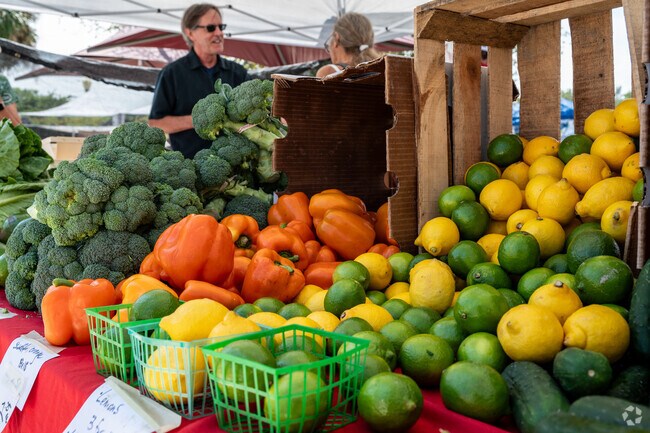 Residents can discover fresh finds at the Circle Square Commons Farmers Market in Ocala.