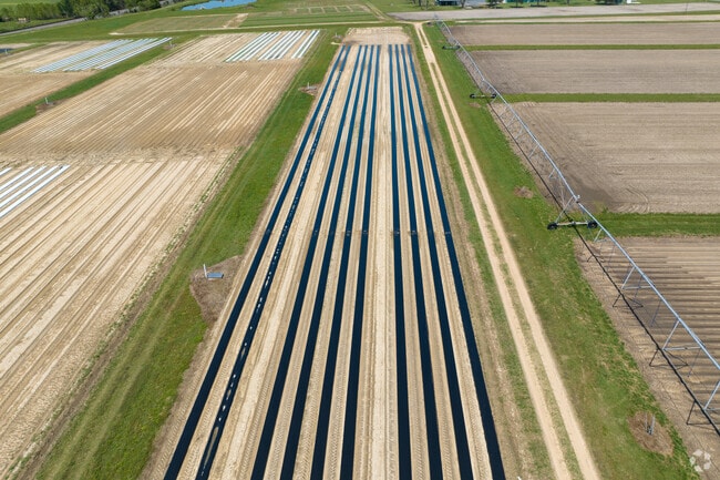 Tifton features a vast amount of well kept active farmland thanks to Abraham Baldwin Agricultural College and is home to the Georgia Museum of Agriculture.