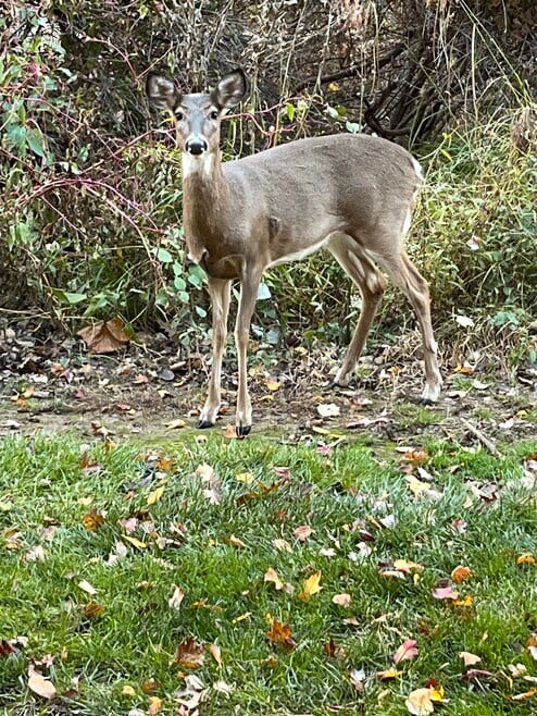 7 Wexford Dr unit Gwynedd club, North Wales, PA 19454 - photo 1
