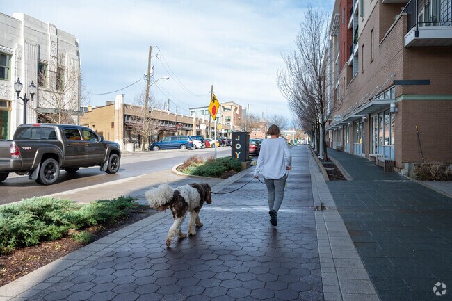 Take your furry friend on a walk on the Indianapolis Cultural Trail in Cottage Home