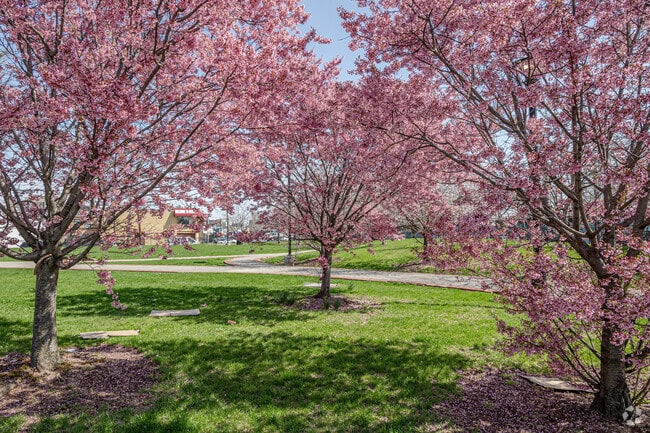Raymond A. Brown Park in Newark honors a civil rights icon with green space and walking paths.