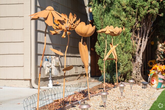 Unique flowers in a Country Hills neighborhood.