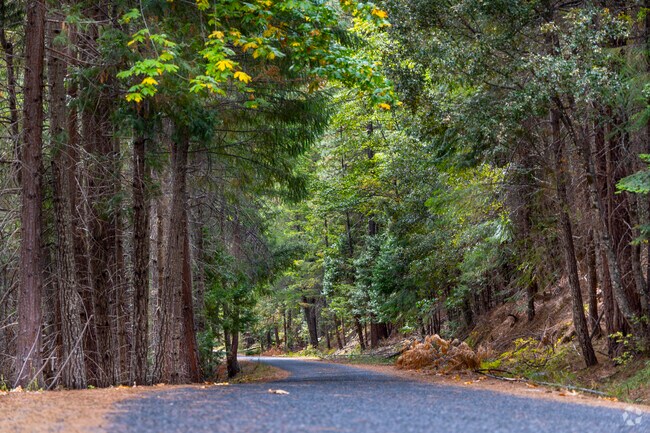 You are never far from a Hiking spot, like the Grayback Mountain trail in Williams.