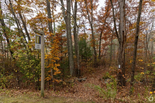 Cedar Swamp is a great hiking are in Westborough