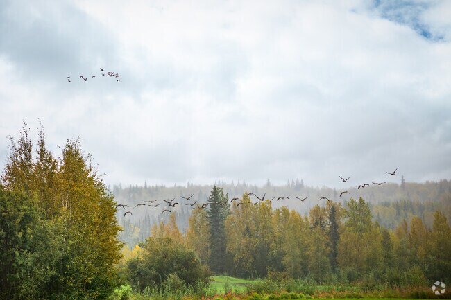 Residents often see a variety of wildlife in the Farmers Loop neighborhood.
