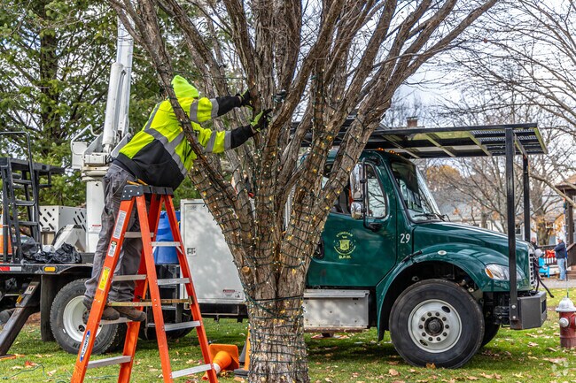 Town workers put up Christmas lights in Colonial Park.