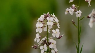 3500 Unionville, Cranberry Twp, PA 16066