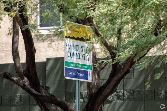 A Mountain community sits at the base of Sentinel Peak in Tucson.