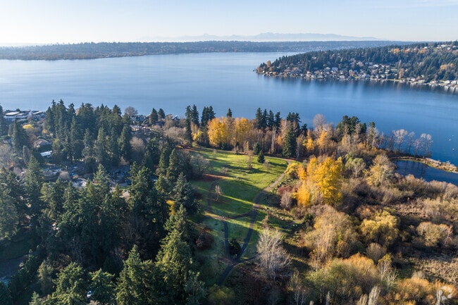 Aerial view of Juanita Bay Park and Market’s tree-lined northern edge.
