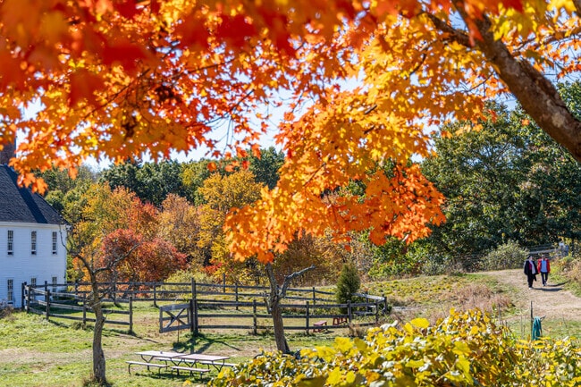 Enjoy a stroll through the trails of Wright Locke Farm in Countryside.