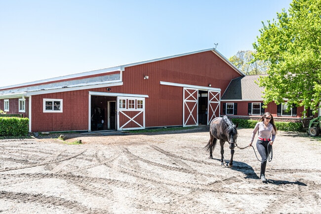 Take horseback riding lessons at Country Farms Equestrian Center in Medford.